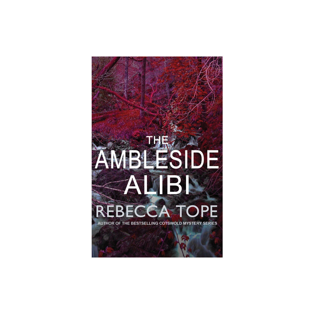 Allison & Busby The Ambleside Alibi (häftad, eng)