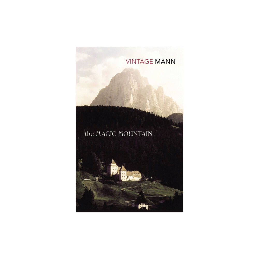 Vintage Publishing The Magic Mountain (häftad, eng)
