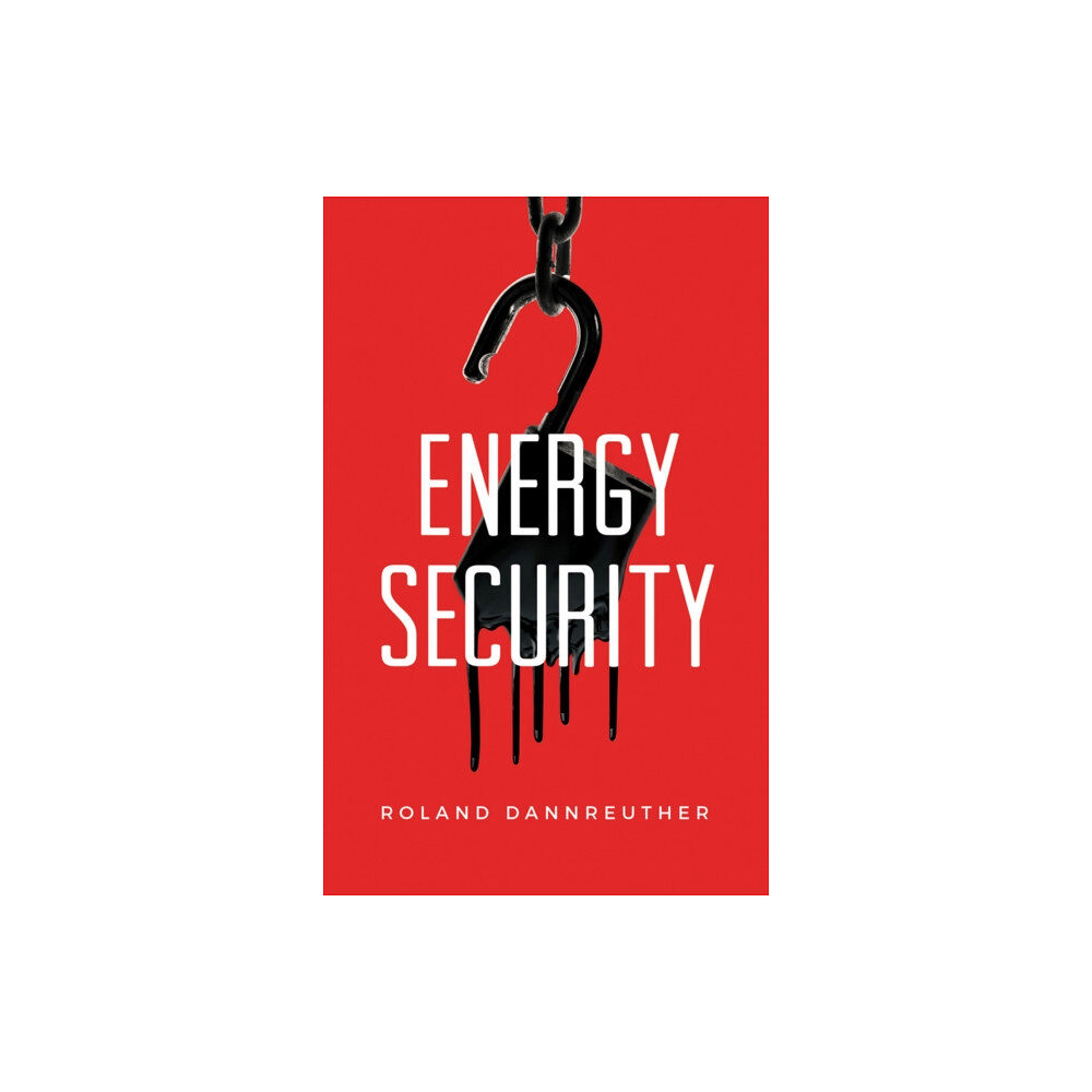 John Wiley And Sons Ltd Energy Security (häftad, eng)
