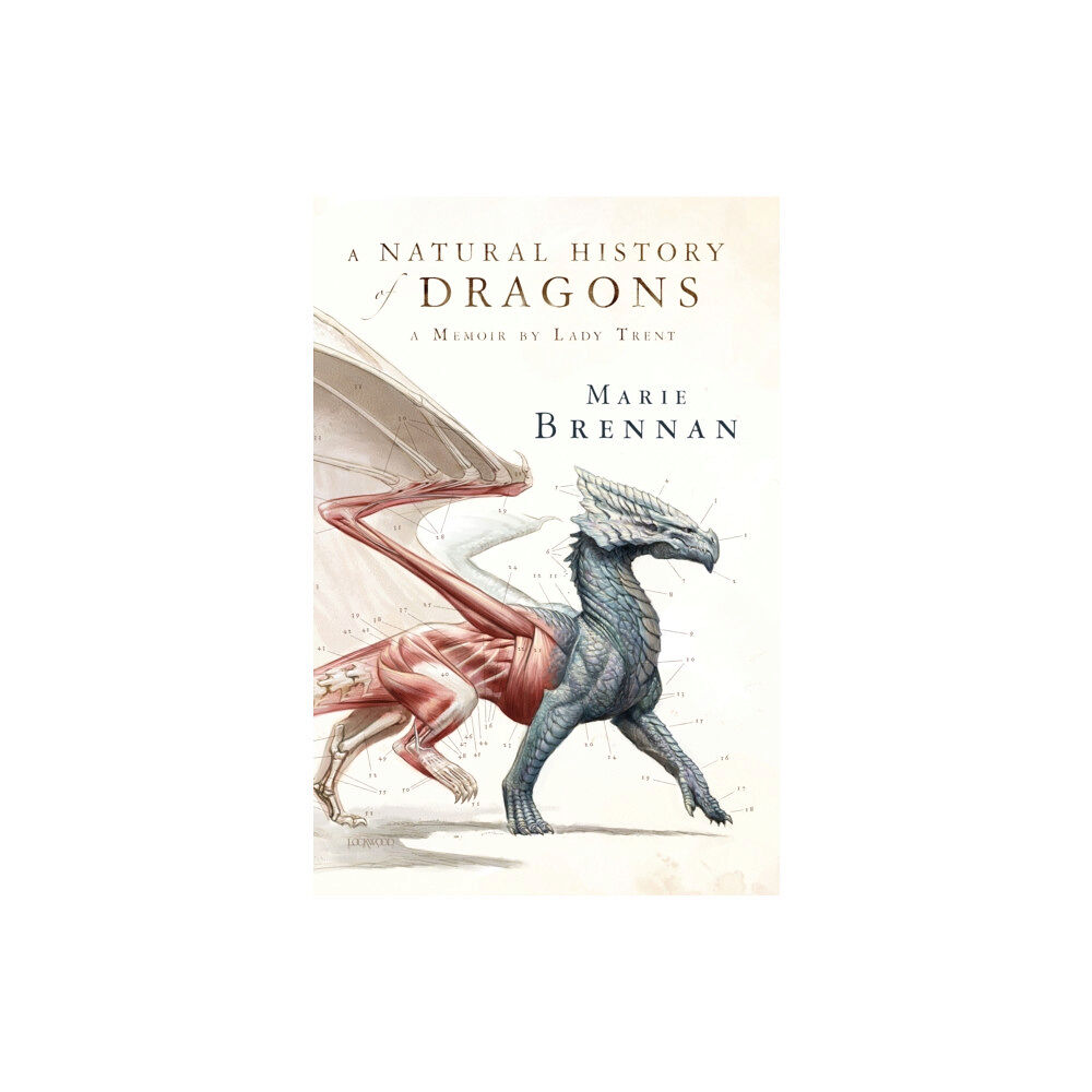 Tor Publishing Group A Natural History of Dragons (häftad, eng)