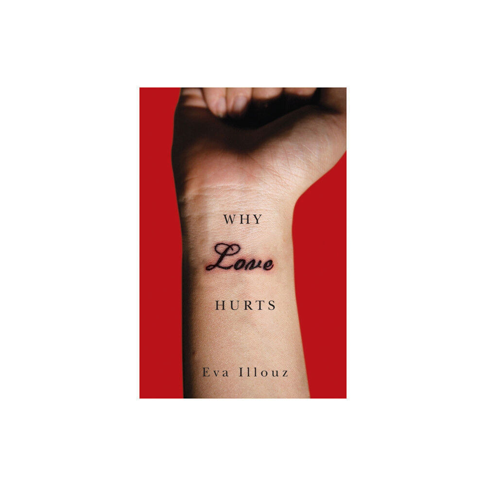 John Wiley And Sons Ltd Why Love Hurts (häftad, eng)