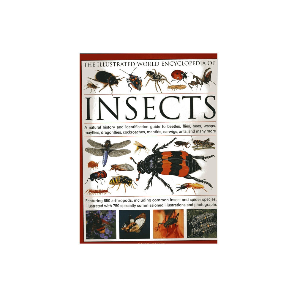 Anness publishing The Illustrated World Encyclopaedia of Insects (inbunden, eng)