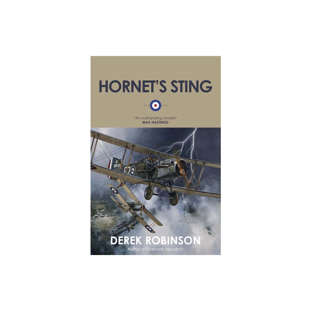 Quercus Publishing Hornet's Sting (häftad, eng)