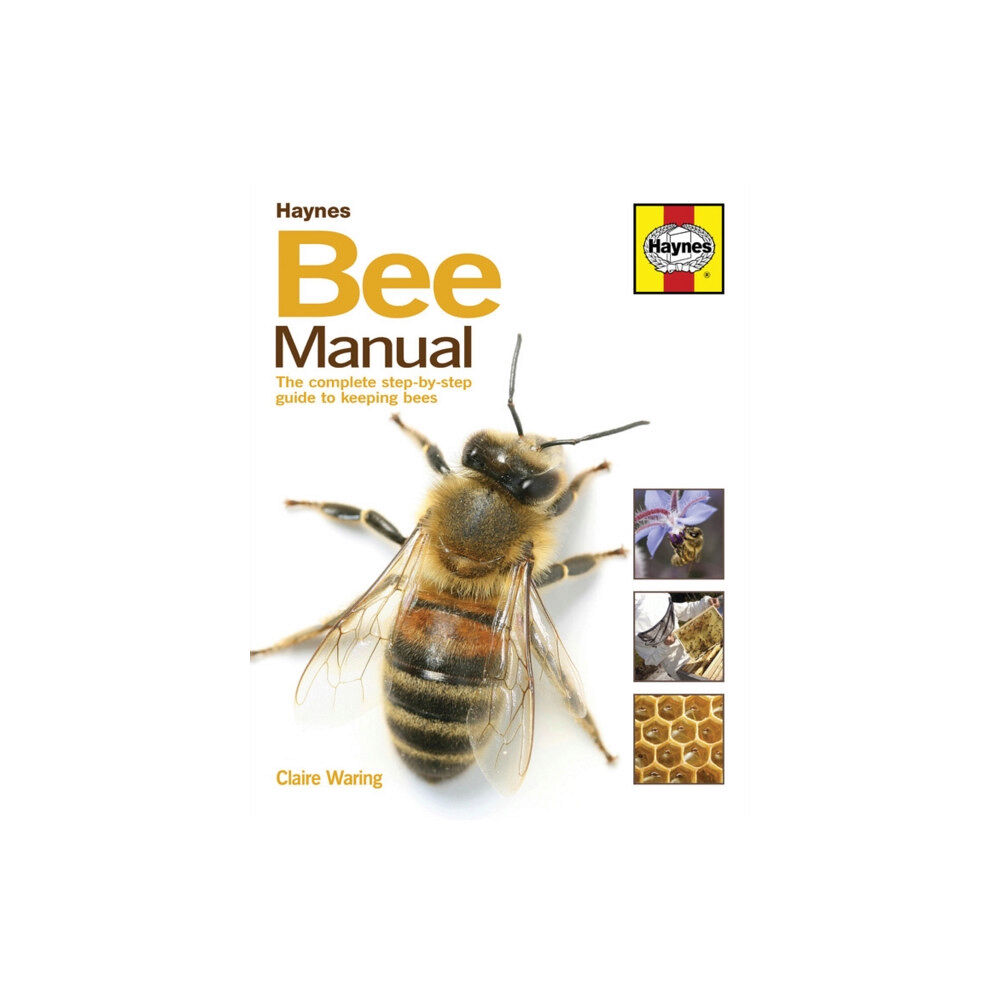 Haynes Publishing Group Bee Manual (inbunden, eng)