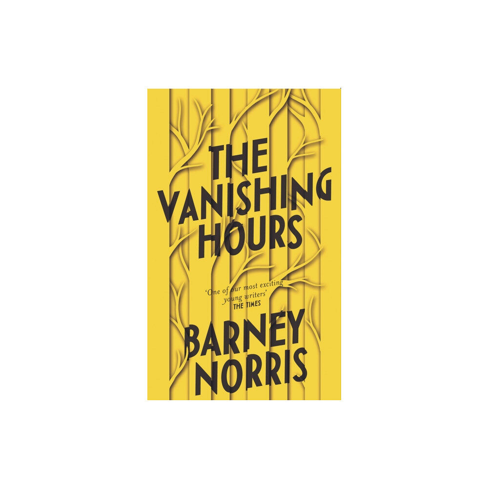 Transworld publishers ltd The Vanishing Hours (inbunden, eng)