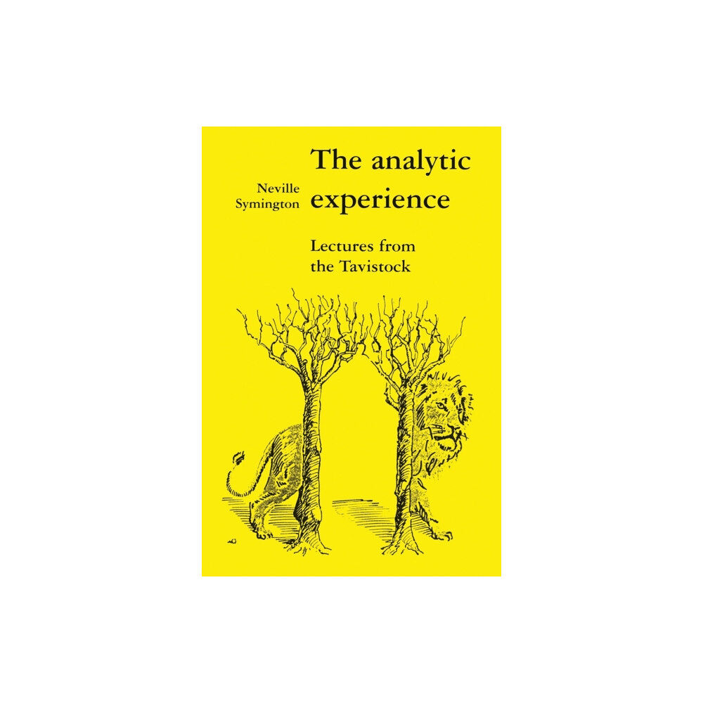 Free Association Books The Analytic Experience (häftad, eng)