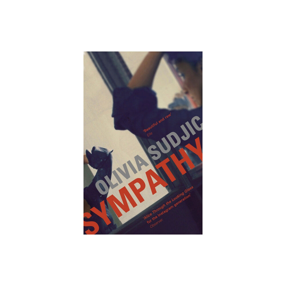 Pushkin Press Sympathy (häftad, eng)