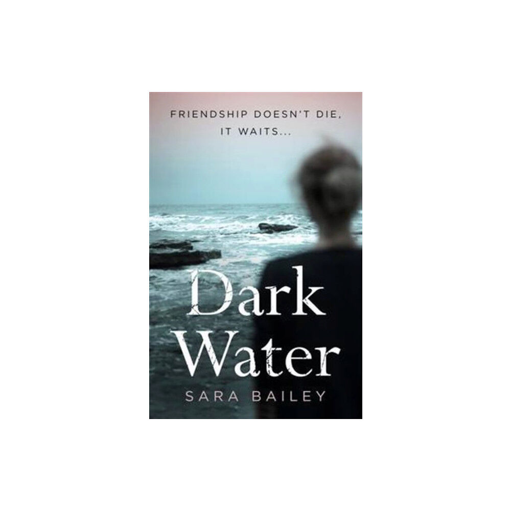 Blackbird Digital Books Dark Water (häftad, eng)