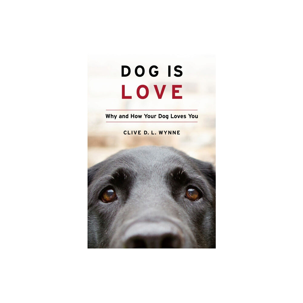HarperCollins Dog Is Love (inbunden, eng)