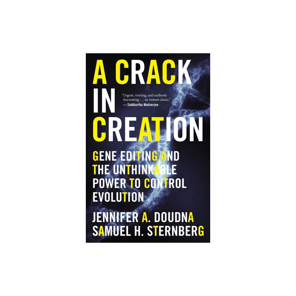HarperCollins A Crack in Creation (häftad, eng)