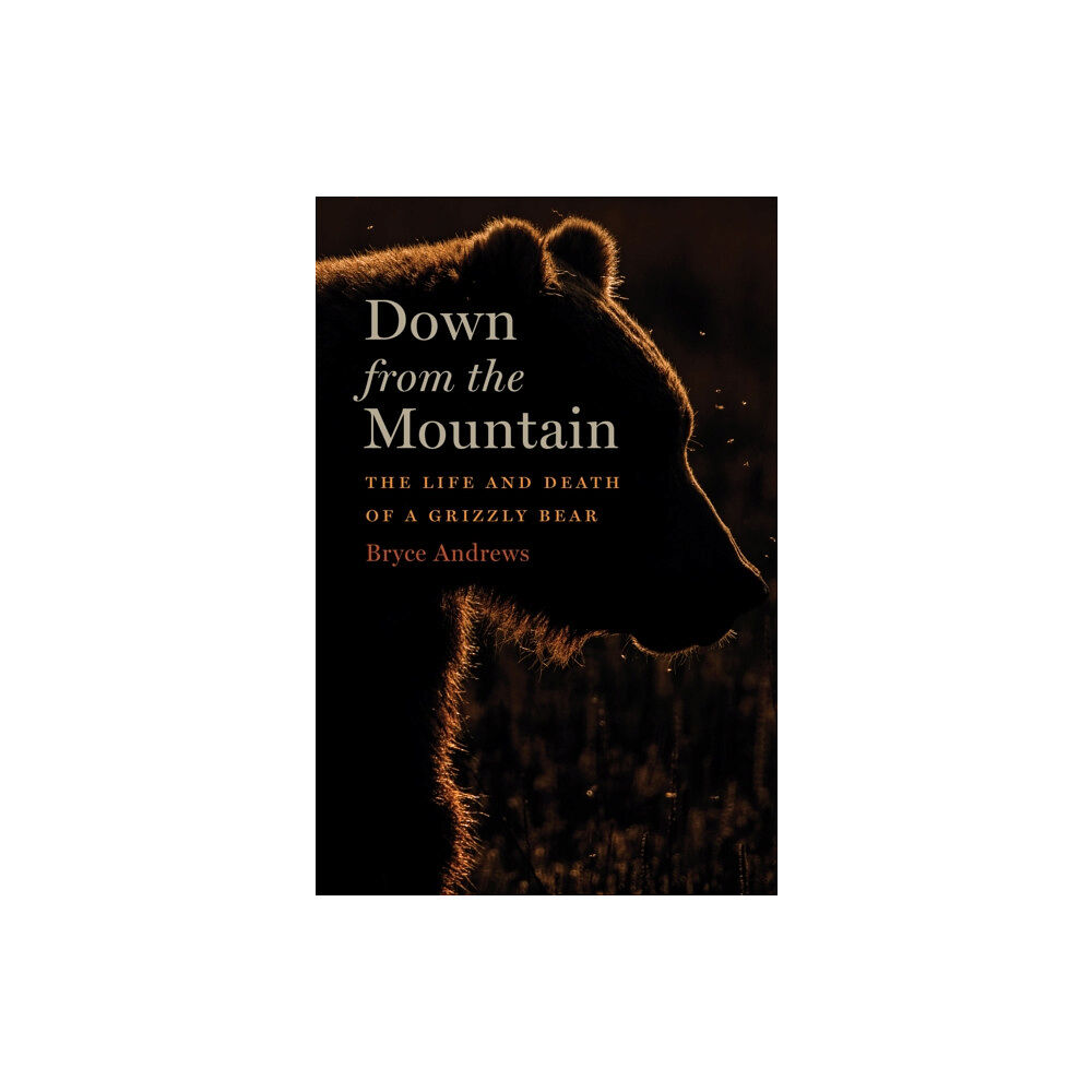 HarperCollins Down From The Mountain (inbunden, eng)