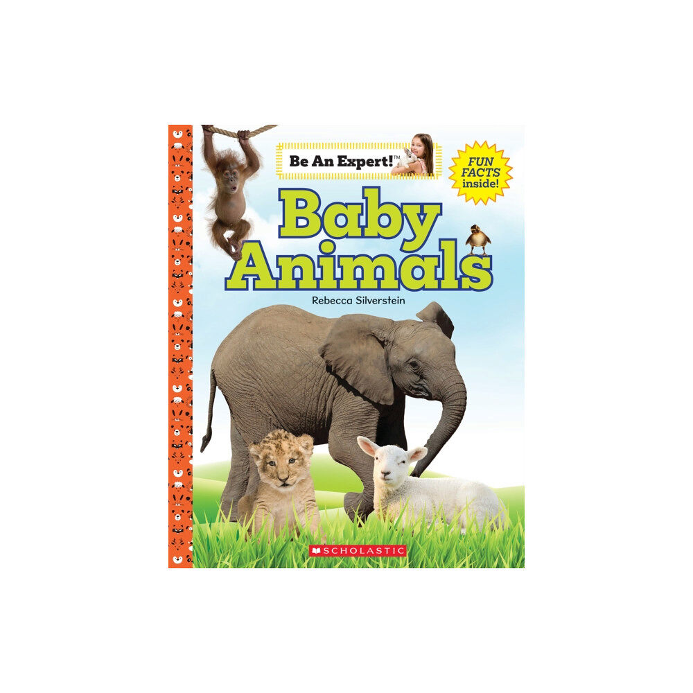 Scholastic Inc. Baby Animals (Be an Expert!) (inbunden, eng)