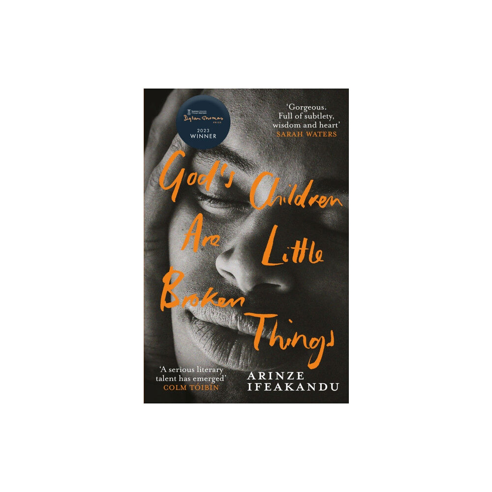 Orion Publishing Co God's Children Are Little Broken Things (häftad, eng)