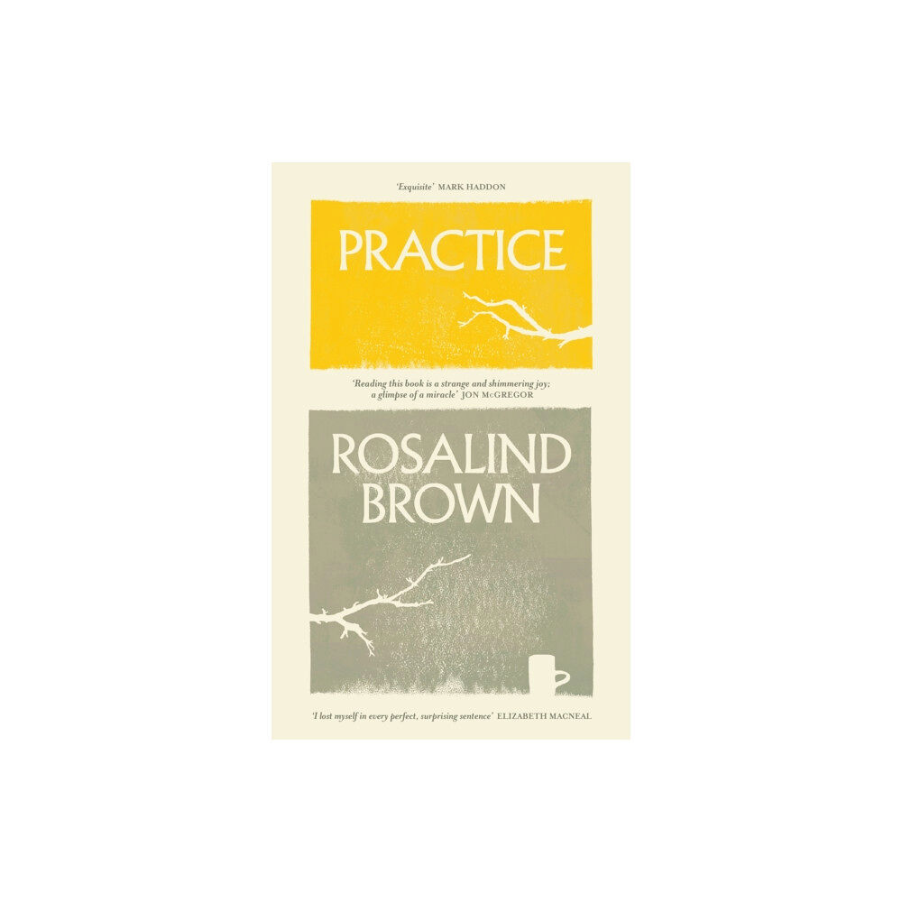 Orion Publishing Co Practice (inbunden, eng)