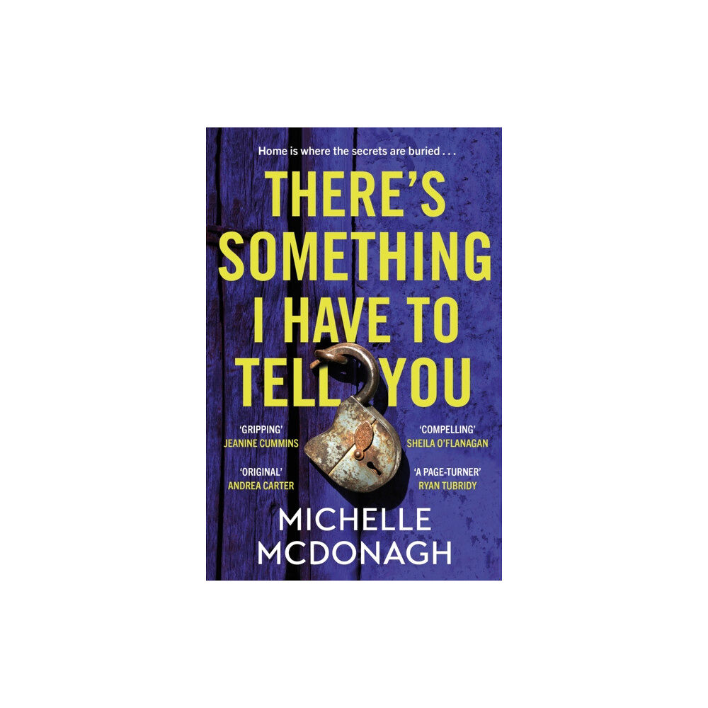 Hachette Books Ireland There's Something I Have to Tell You (häftad, eng)