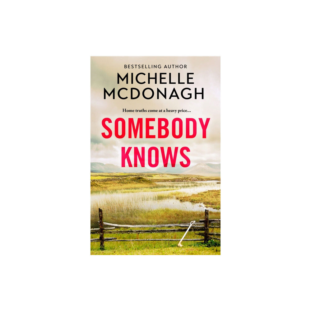 Hachette Books Ireland Somebody Knows (häftad, eng)