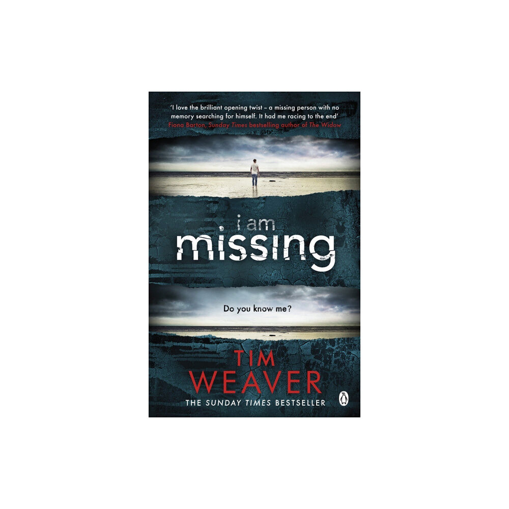 Penguin books ltd I Am Missing (häftad, eng)