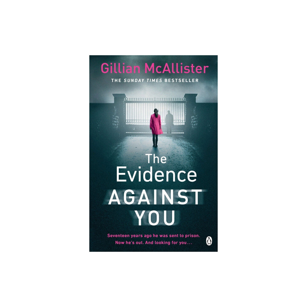 Penguin books ltd The Evidence Against You (häftad, eng)