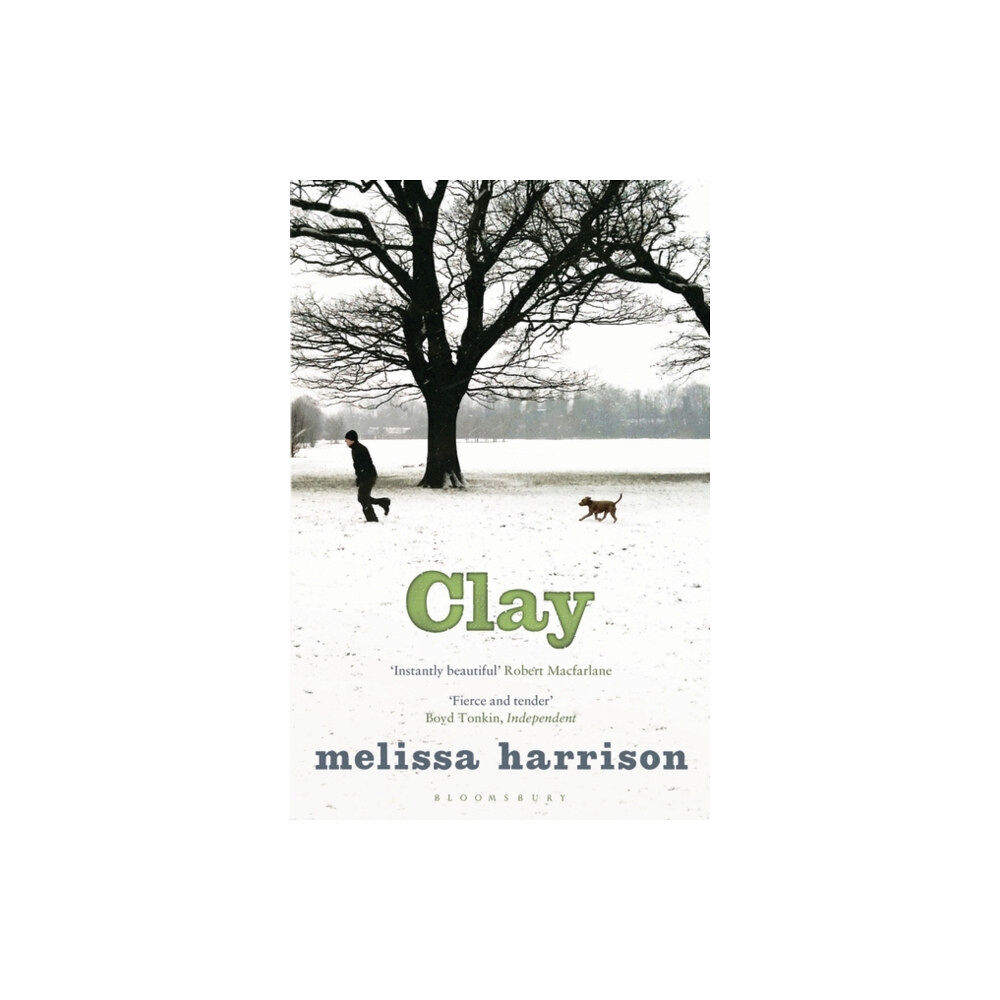 Bloomsbury Publishing PLC Clay (häftad, eng)