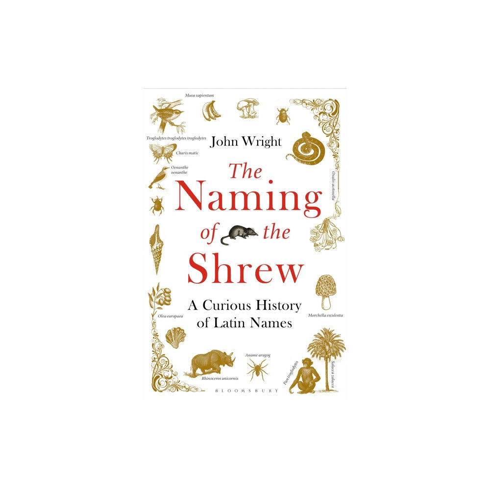 Bloomsbury Publishing PLC The Naming of the Shrew (häftad, eng)