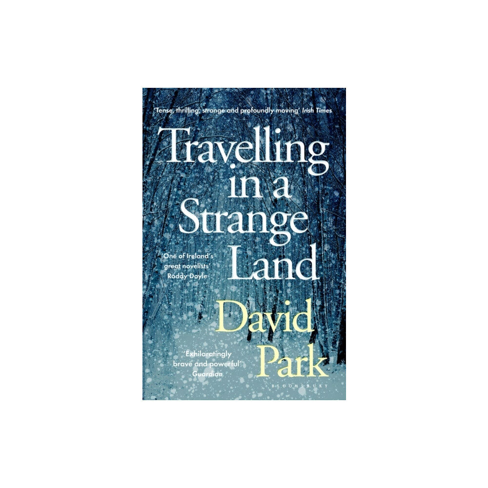 Bloomsbury Publishing PLC Travelling in a Strange Land (häftad, eng)