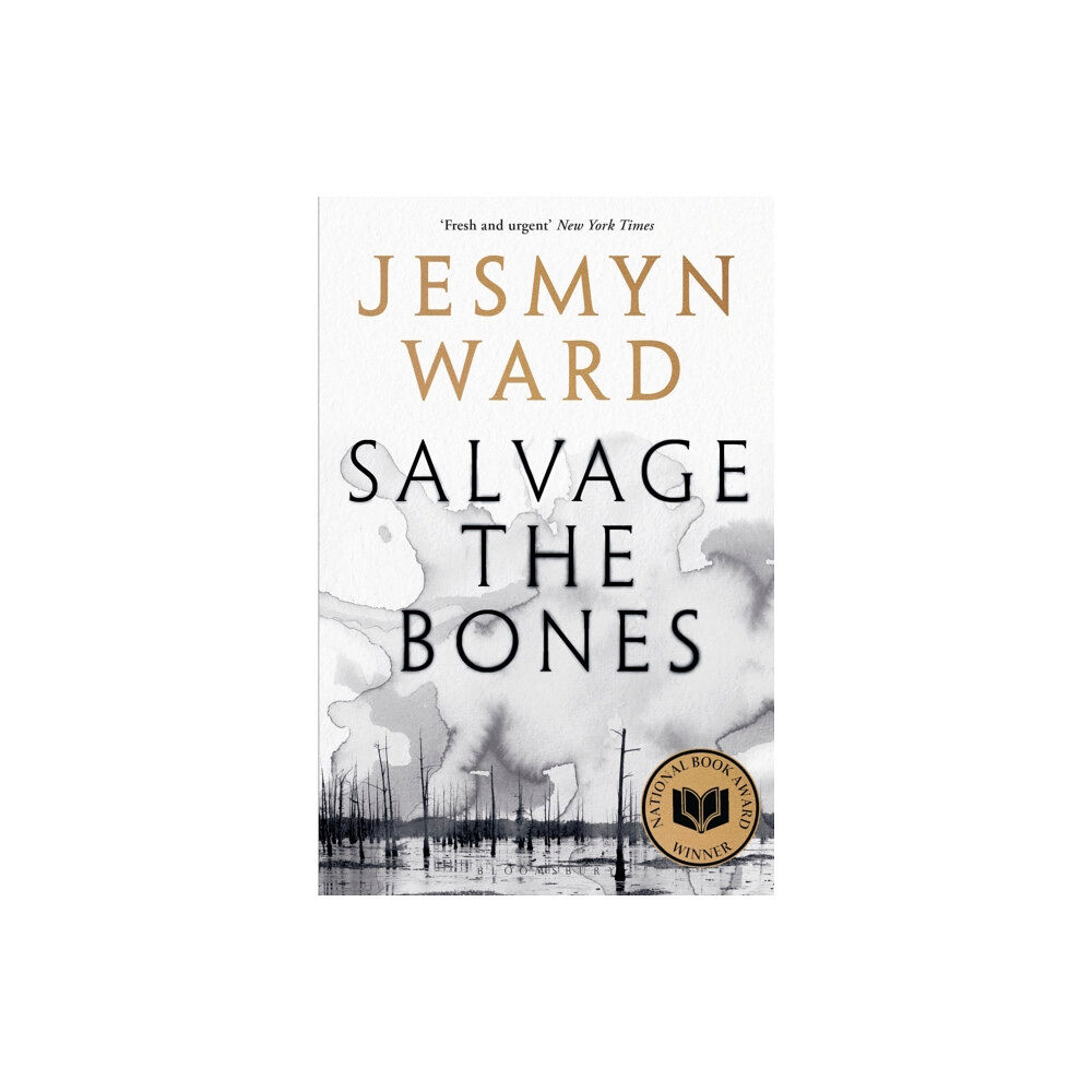 Bloomsbury Publishing PLC Salvage the Bones (häftad, eng)