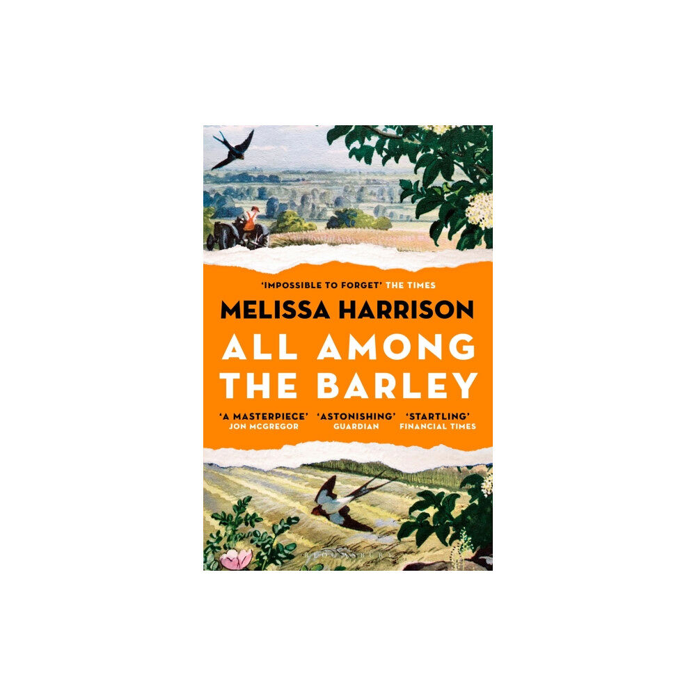 Bloomsbury Publishing PLC All Among the Barley (häftad, eng)