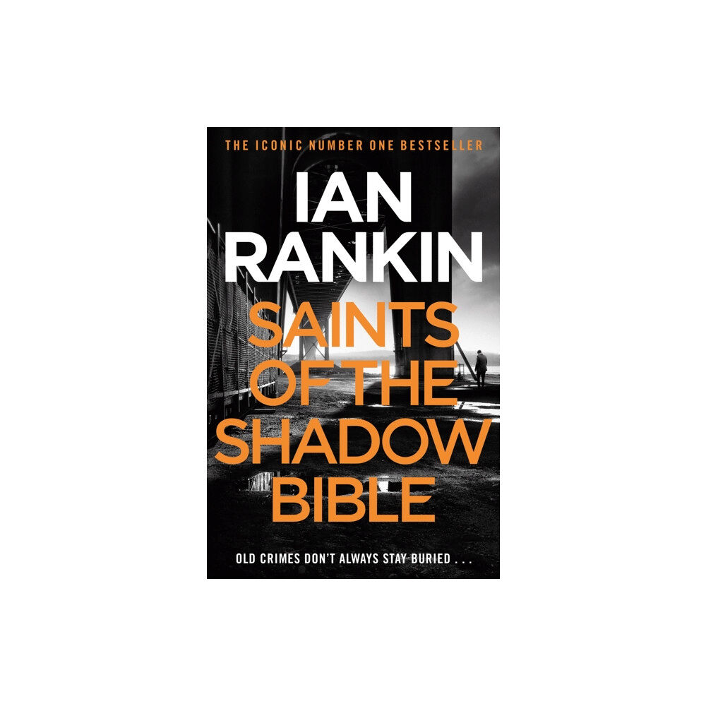 Orion Publishing Co Saints of the Shadow Bible (häftad, eng)
