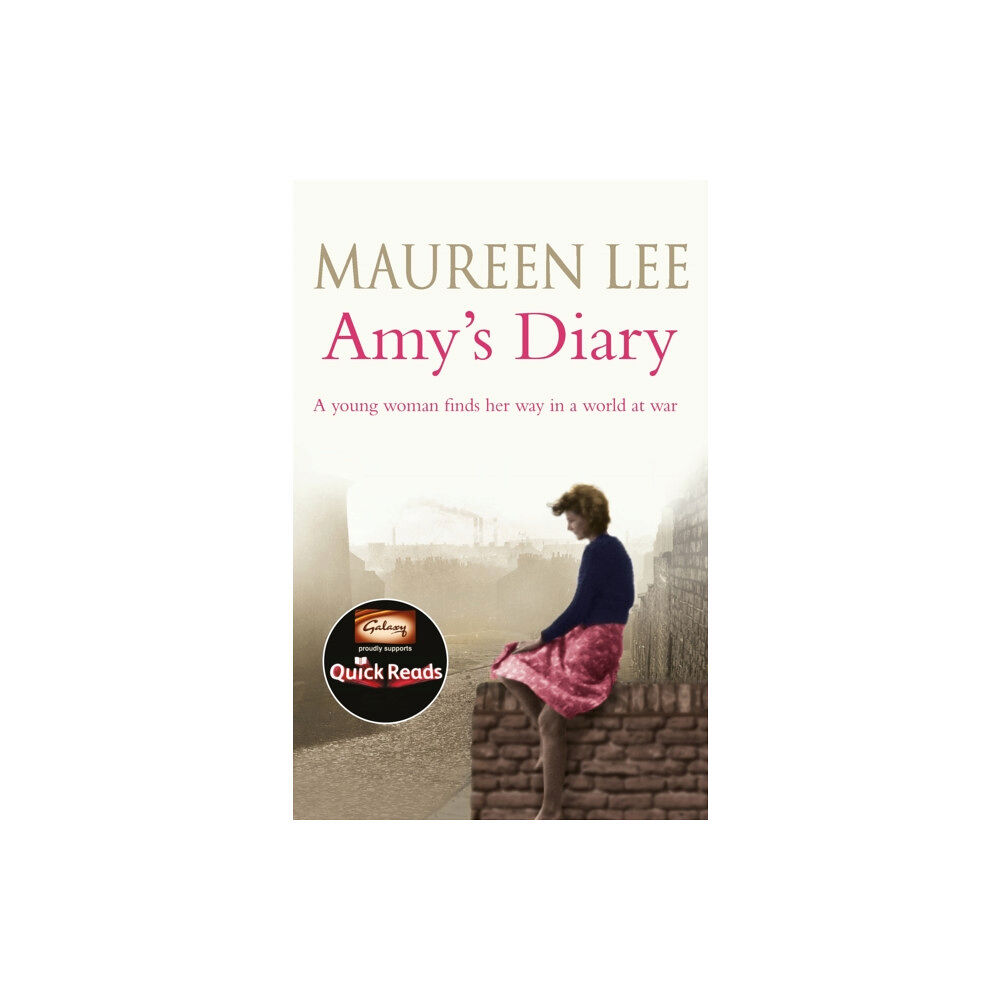 Orion Publishing Co Amy's Diary (häftad, eng)