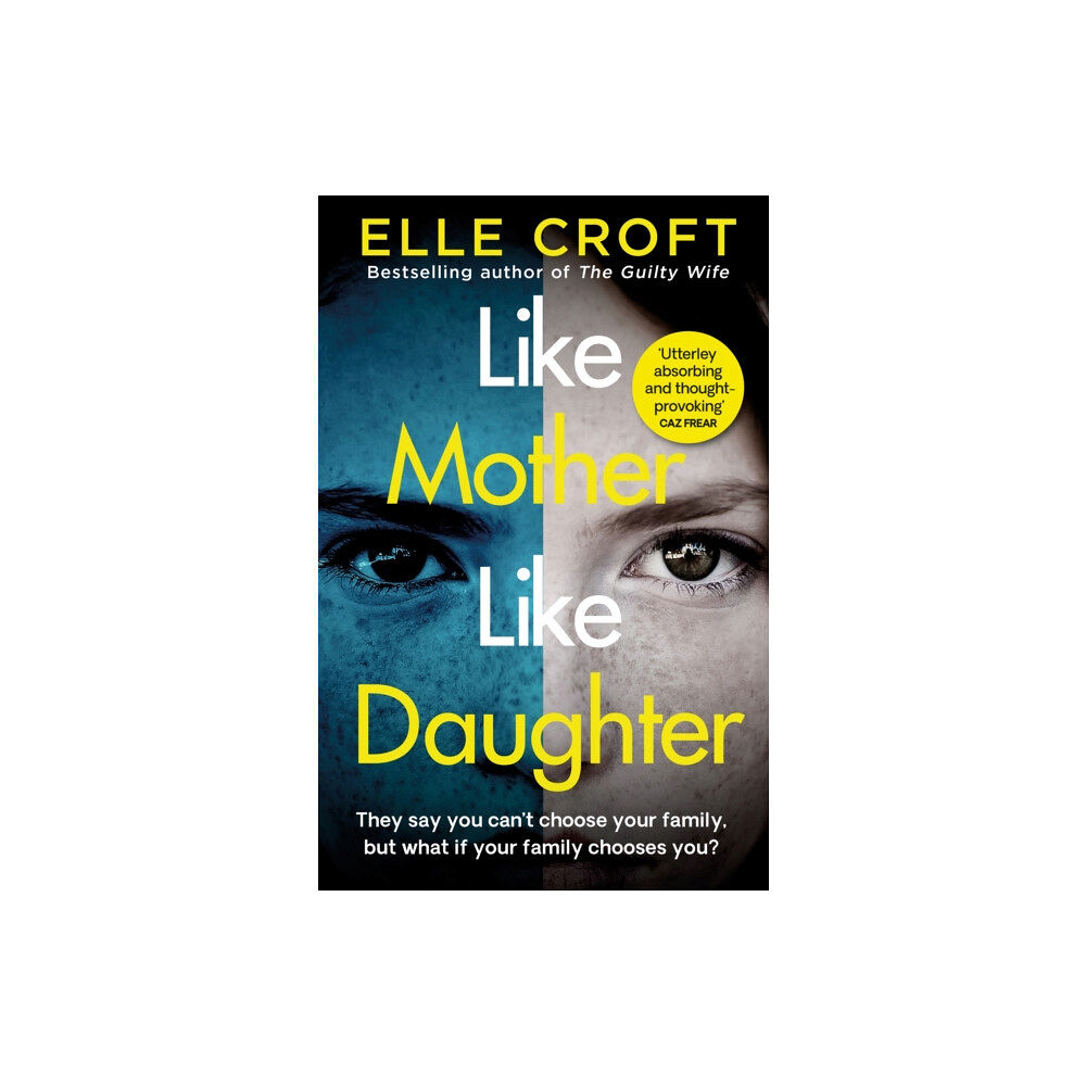 Orion Publishing Co Like Mother, Like Daughter (häftad, eng)