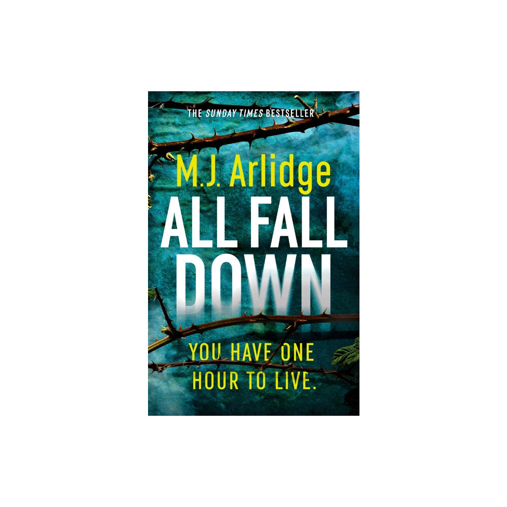 Orion Publishing Co All Fall Down (häftad, eng)