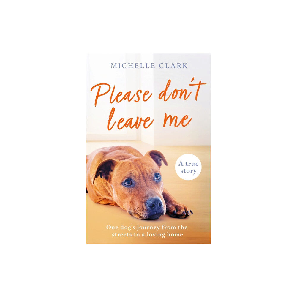Orion Publishing Co Please Don't Leave Me (häftad, eng)