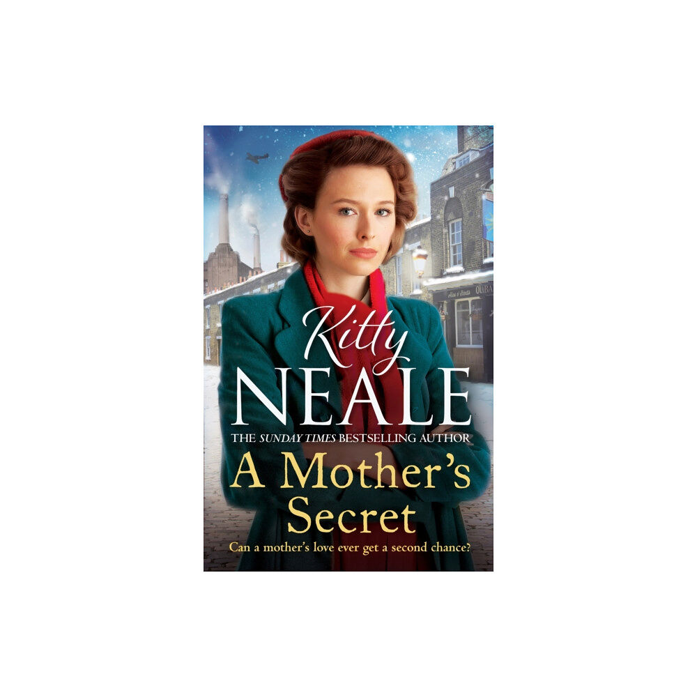 Orion Publishing Co A Mother's Secret (häftad, eng)