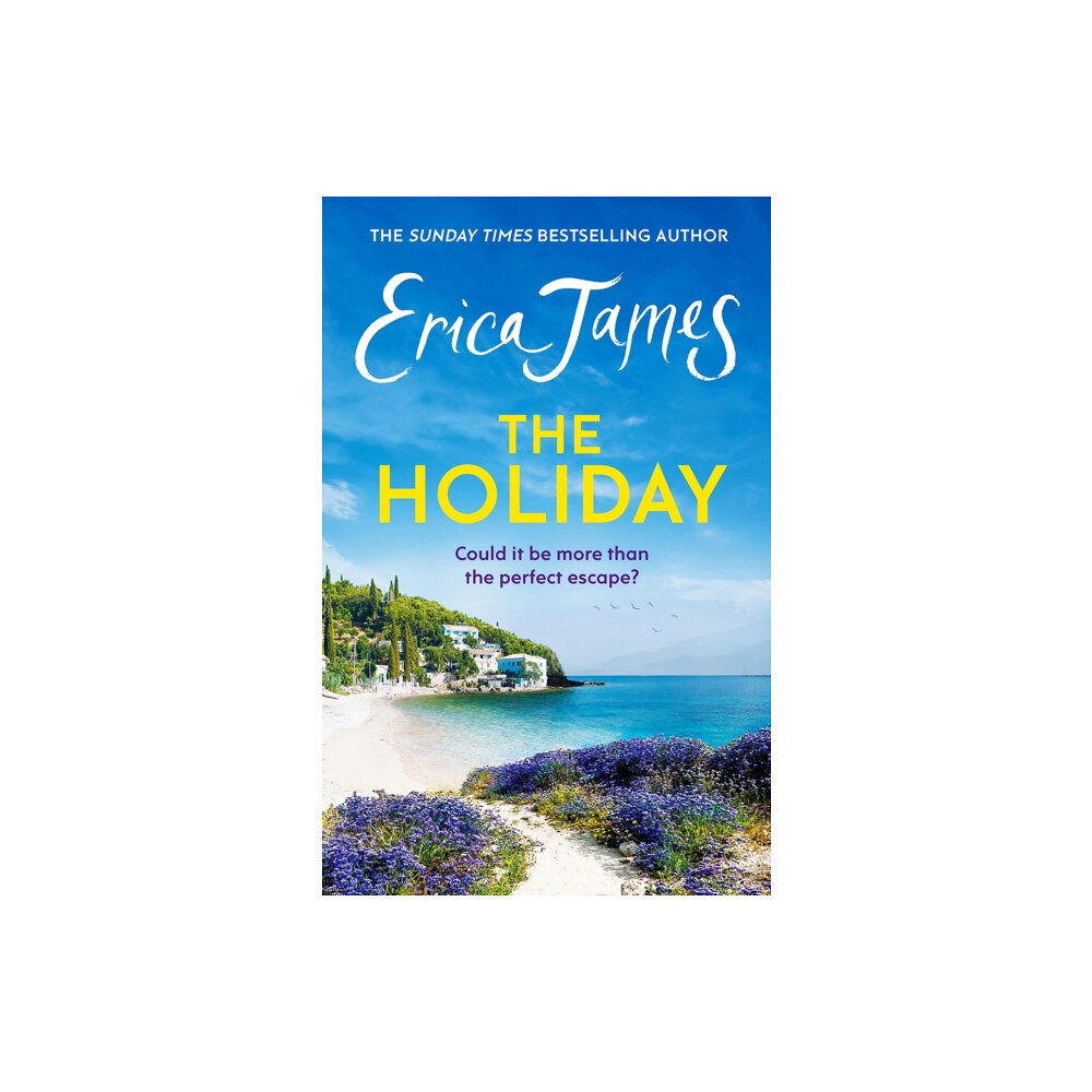 Orion Publishing Co The Holiday (häftad, eng)