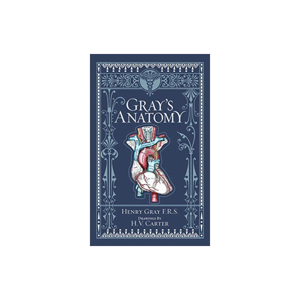 Sterling Juvenile Gray's Anatomy (Barnes & Noble Collectible Editions) (inbunden, eng)