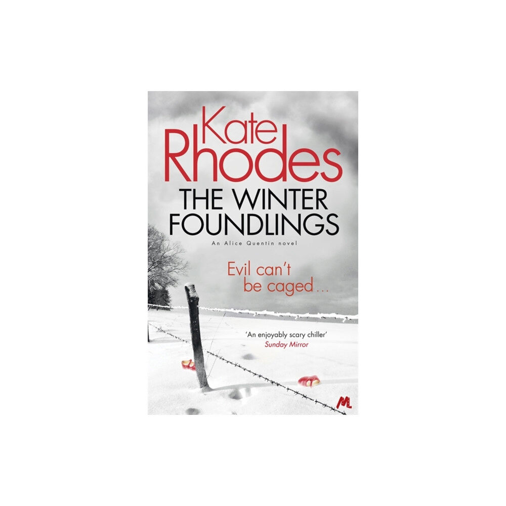 Hodder & Stoughton The Winter Foundlings (häftad, eng)