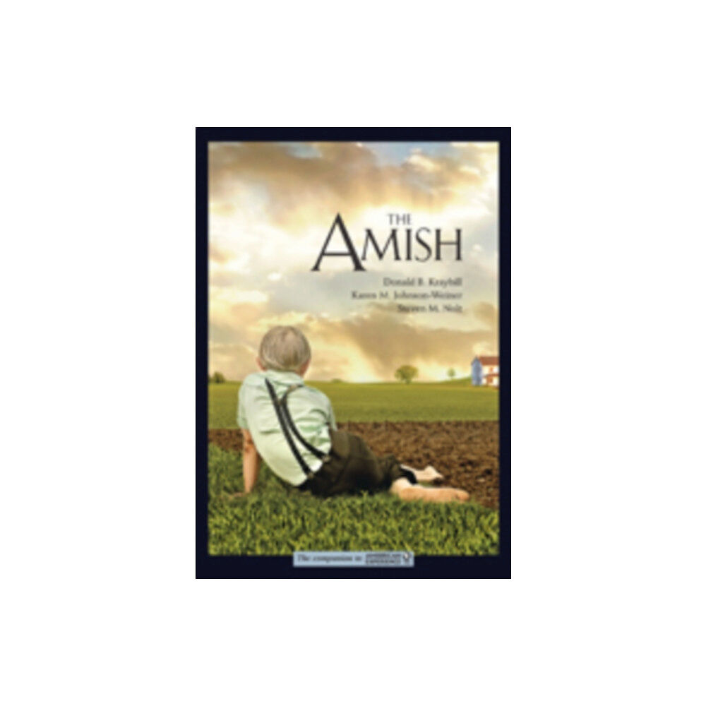 Johns Hopkins University Press The Amish (häftad, eng)