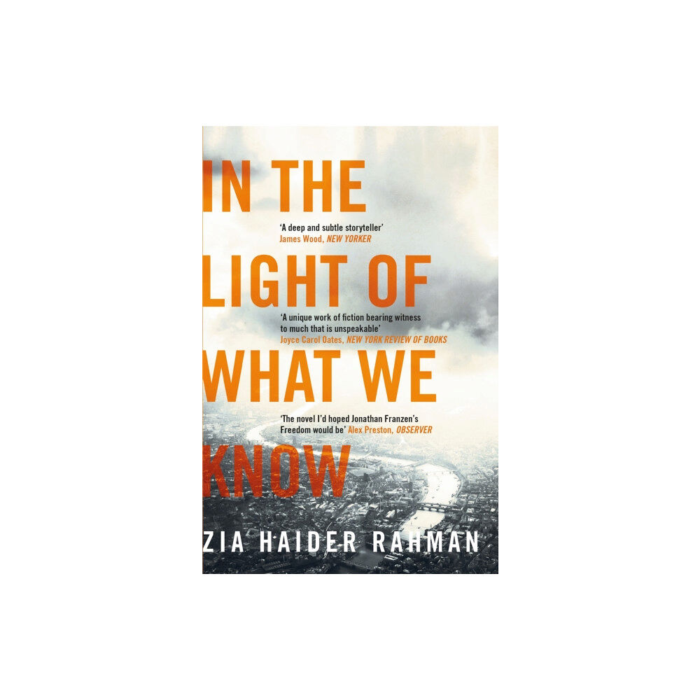 Pan Macmillan In the Light of What We Know (häftad, eng)