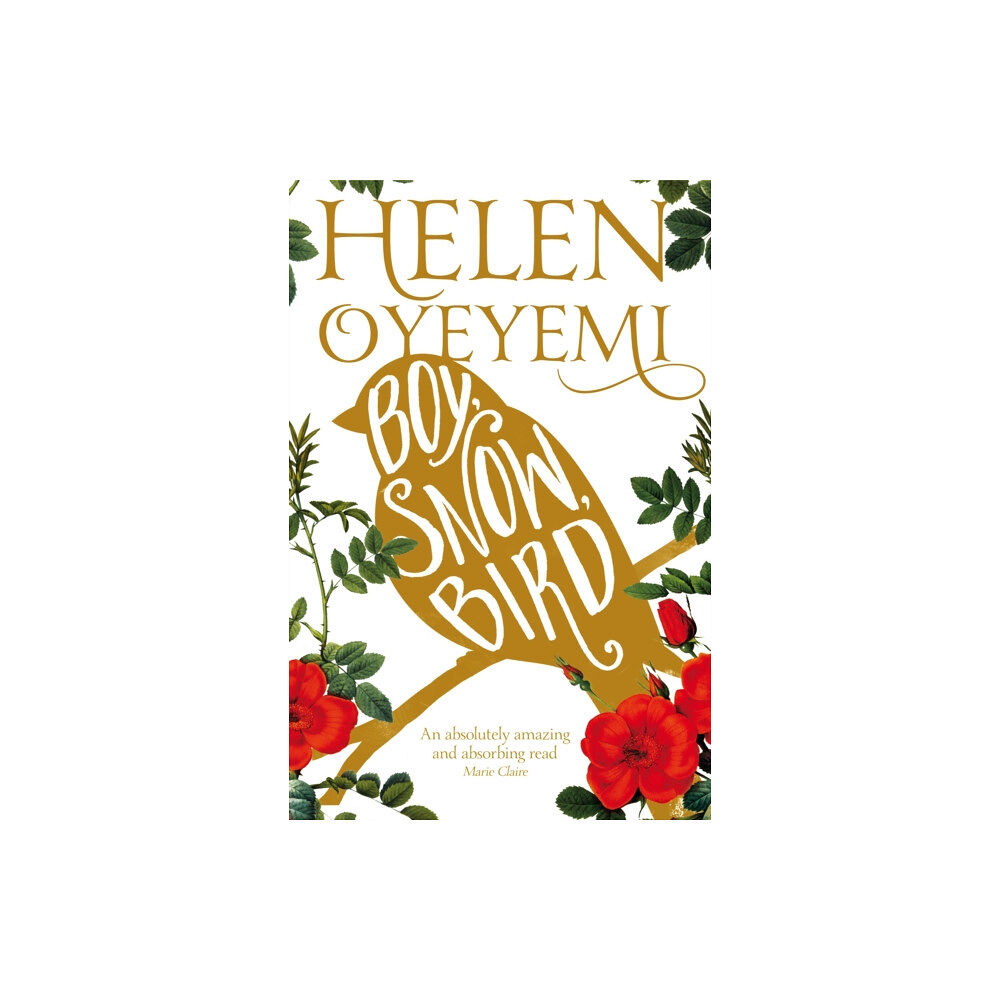 Pan Macmillan Boy, Snow, Bird (häftad, eng)