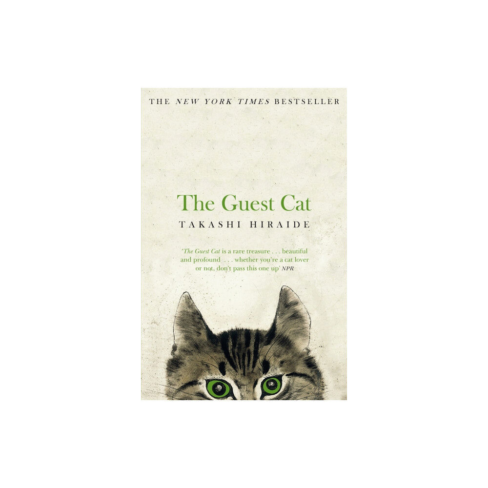 Pan Macmillan The Guest Cat (häftad, eng)