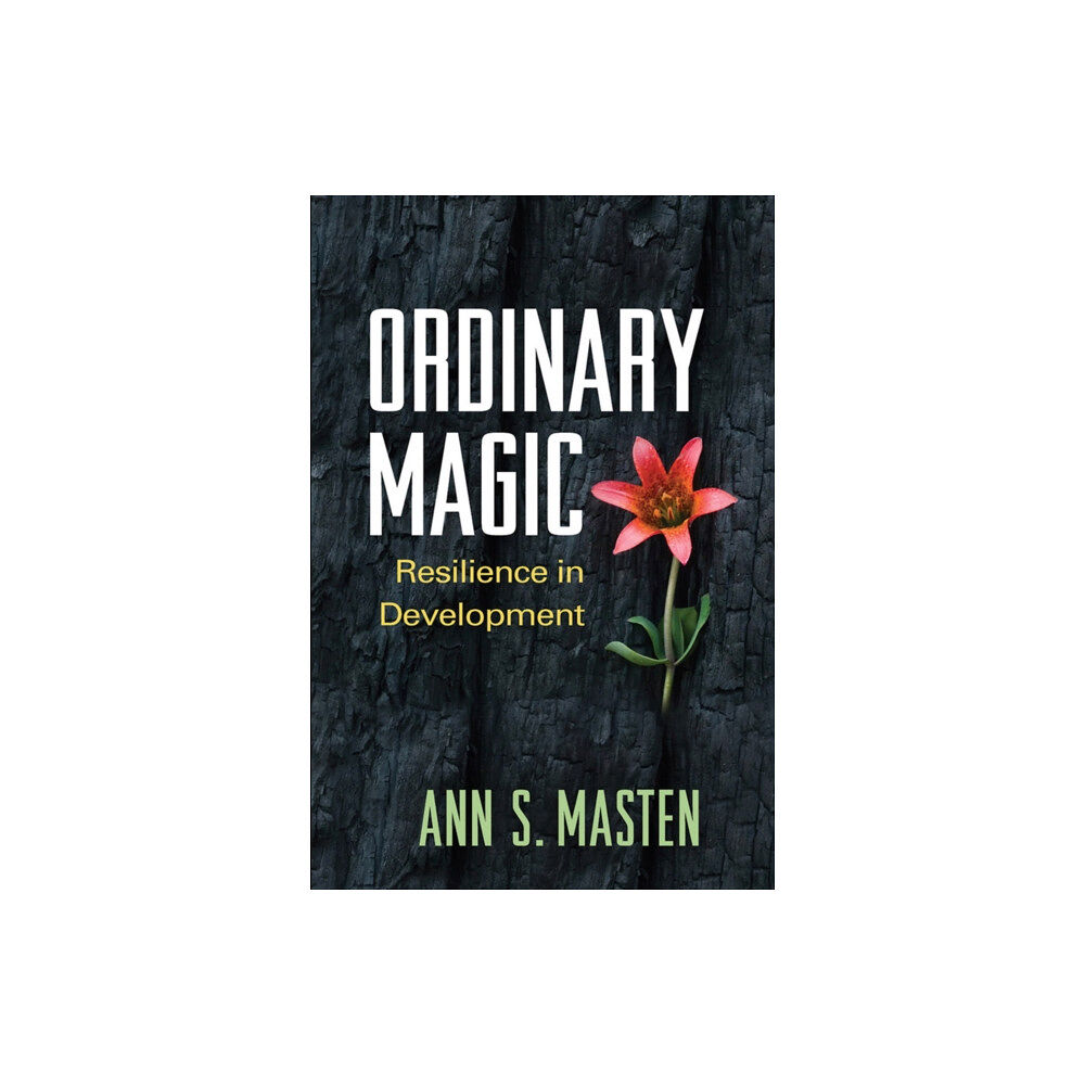 Guilford Publications Ordinary Magic (häftad, eng)