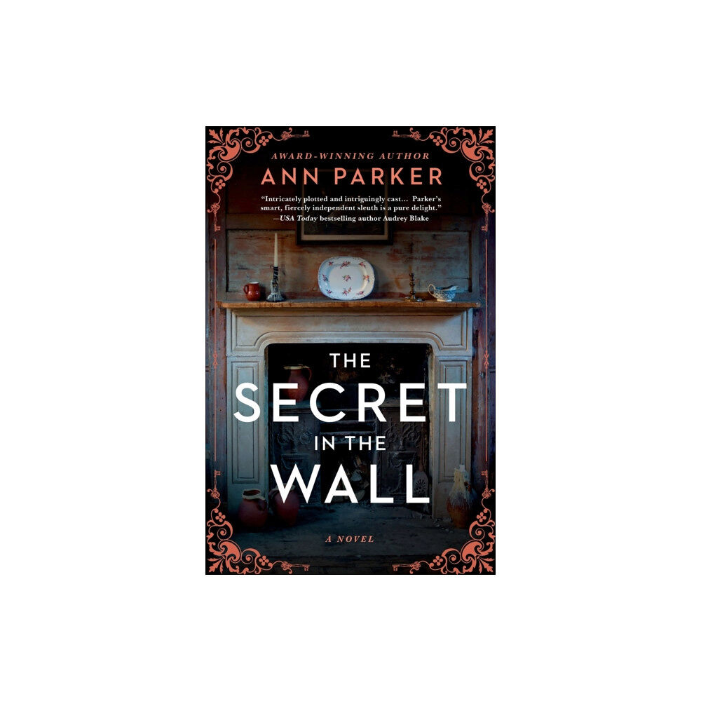 Sourcebooks, Inc The Secret in the Wall (häftad, eng)