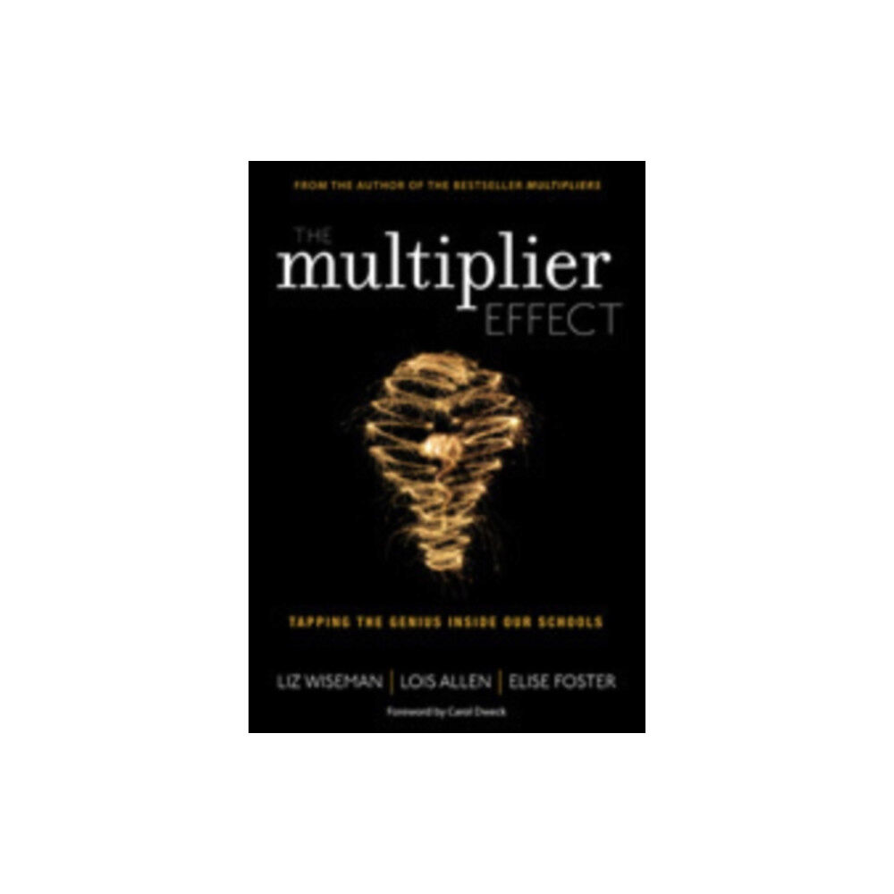 Sage publications inc The Multiplier Effect (häftad, eng)