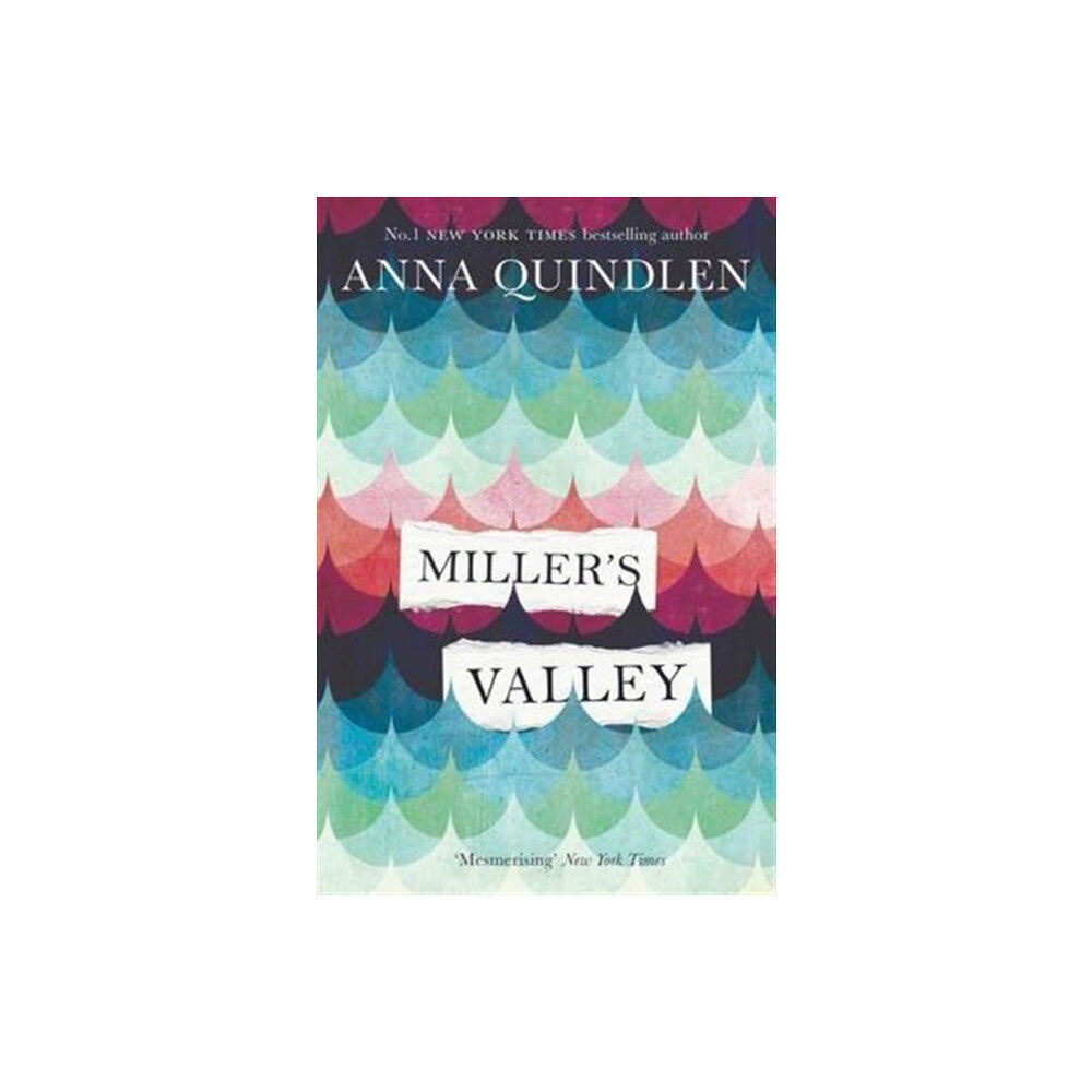 Simon & Schuster Ltd Miller's Valley (häftad, eng)