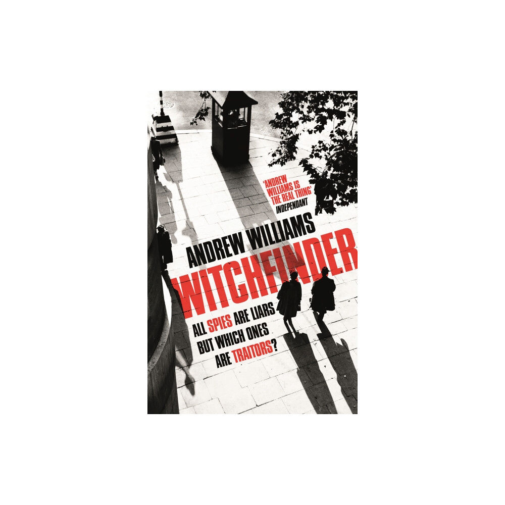 Hodder & Stoughton Witchfinder (häftad, eng)