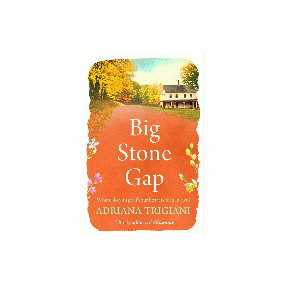 Simon & Schuster Ltd Big Stone Gap (häftad, eng)