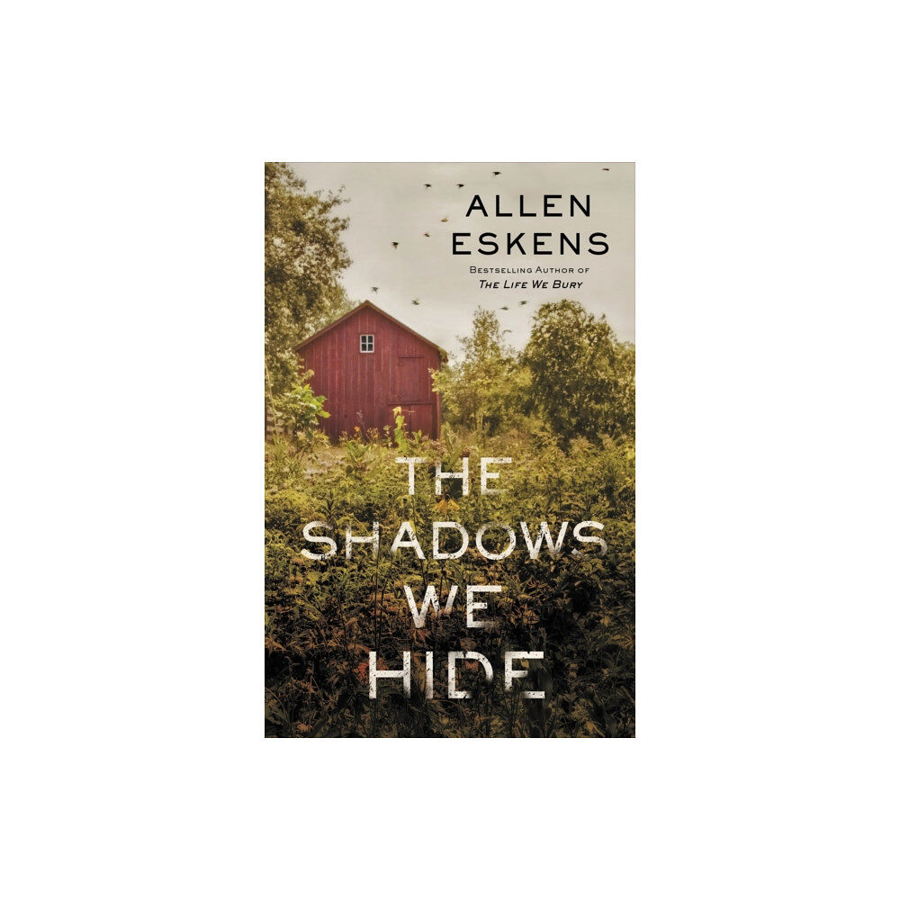 Hodder & Stoughton The Shadows We Hide (häftad, eng)