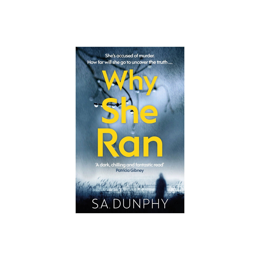 Hachette Books Ireland Why She Ran (häftad, eng)