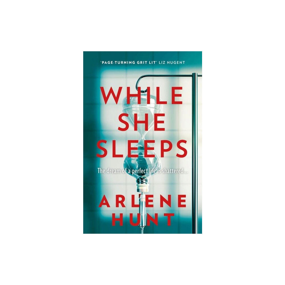 Hachette Books Ireland While She Sleeps (häftad, eng)