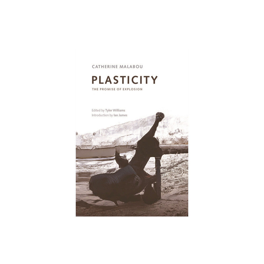 Edinburgh university press Plasticity (häftad, eng)